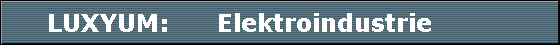 LUXYUM:      Elektroindustrie          